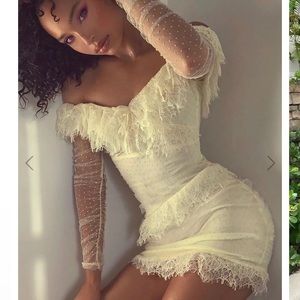 Mesh with live mini dress